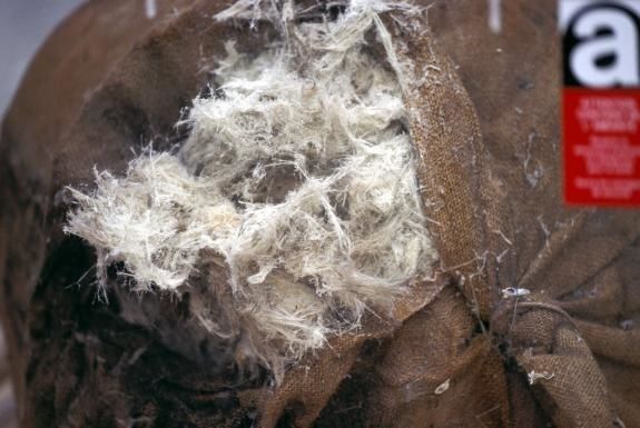 fibres-d-amiante.jpg
