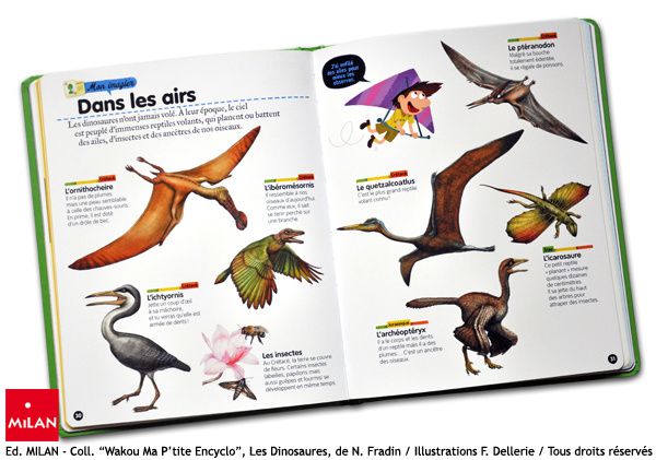 dinosaures illustrations milan dellerie-1