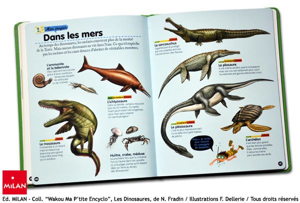 dinosaures illustrations milan dellerie-2