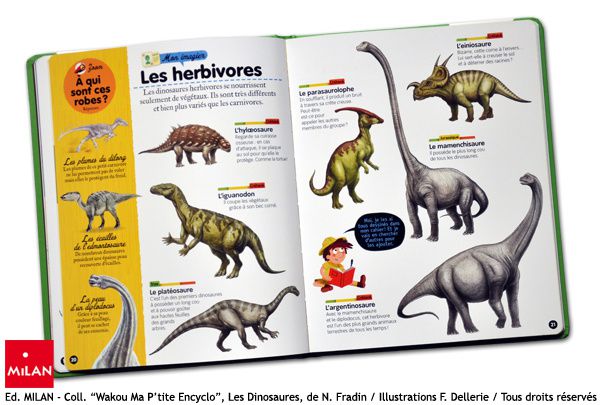 dinosaures illustrations milan dellerie-3