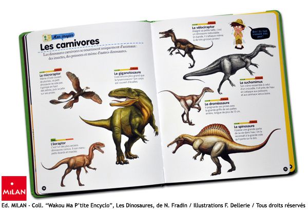 dinosaures illustrations milan dellerie-4