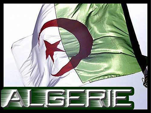drapeau-algerien-algerie.jpg