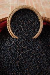 black_pepper.JPG