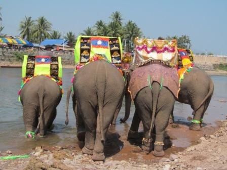 Laos-2013 3737