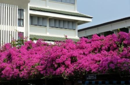 P1200745