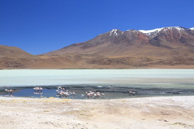 32 Bolivia Laguna Hedionda