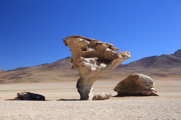 41 Bolivia Arbol de Piedra