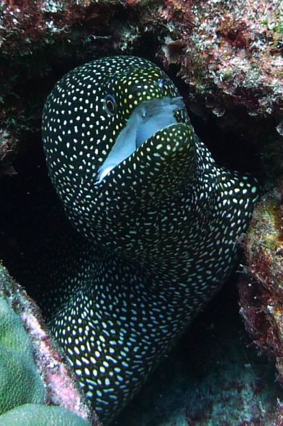 P1030599