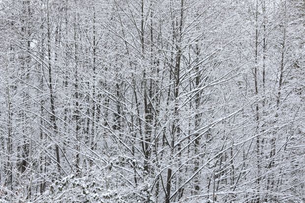Hiver-2012 9128