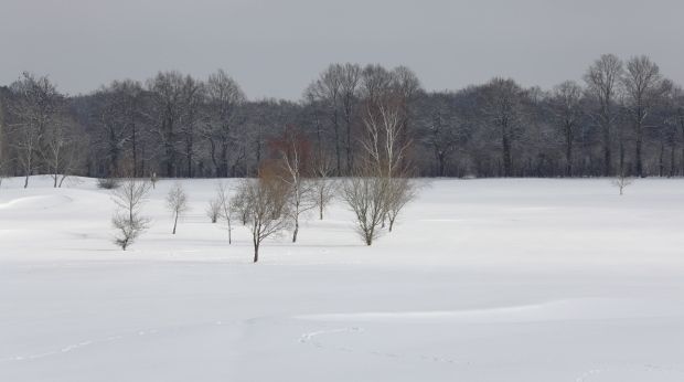 Hiver-2012 9163