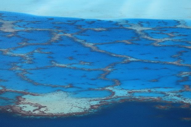 V. Maupiti 198