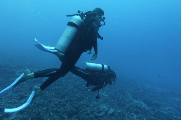 plonger à Moorea 1