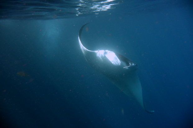 Nuku Hiva (103)