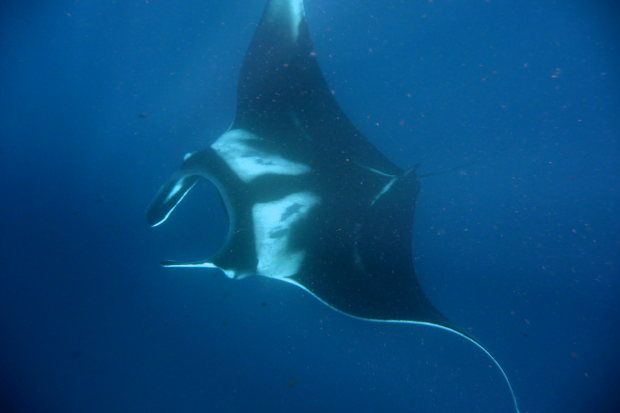 Nuku Hiva (106)