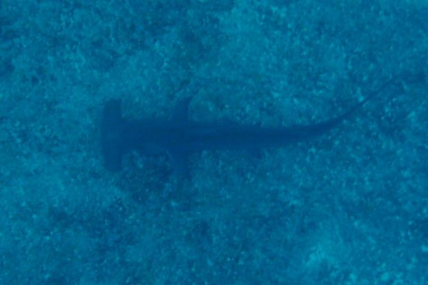 Tuamotu (156)3
