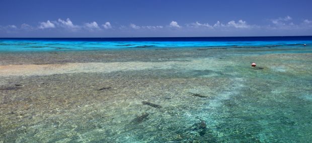 Tuamotu 342