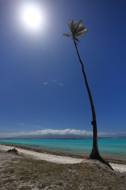 Moorea 00011