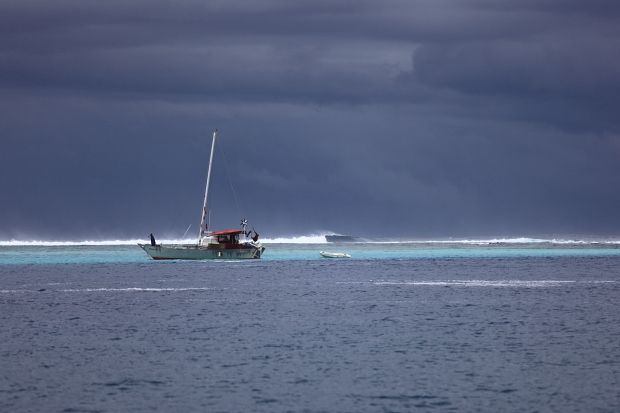surf 067