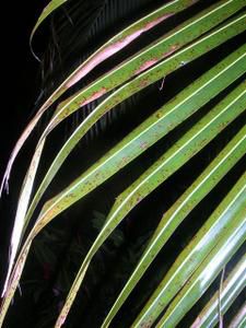 dscn4989__small_.jpg