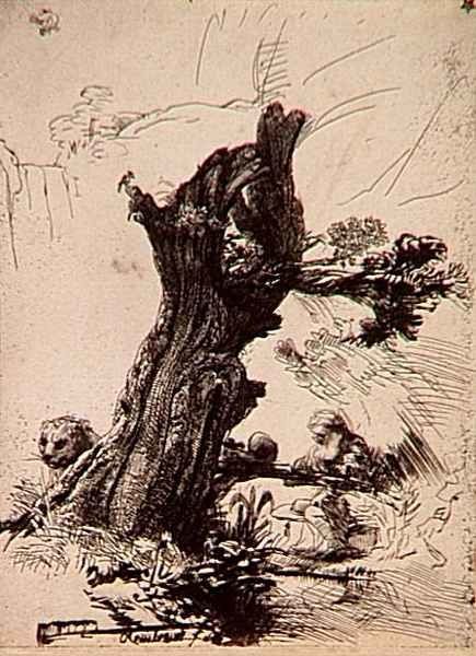 d2dsaint-jerome-ecrivant-sous-saule-rembrandt-harmensz-van