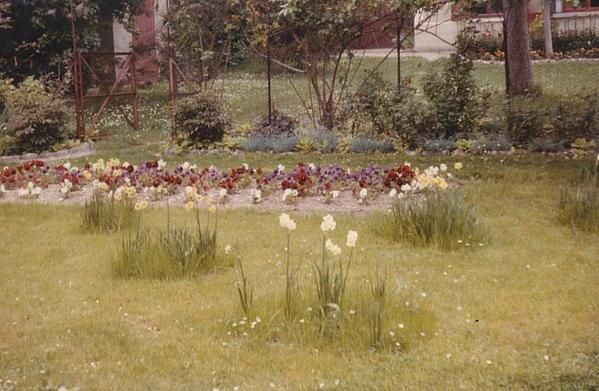 Le jardin où Domi...