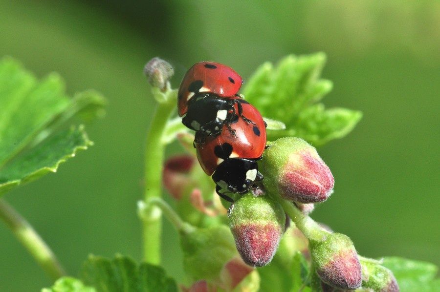 blog-02-2011-2483.JPG