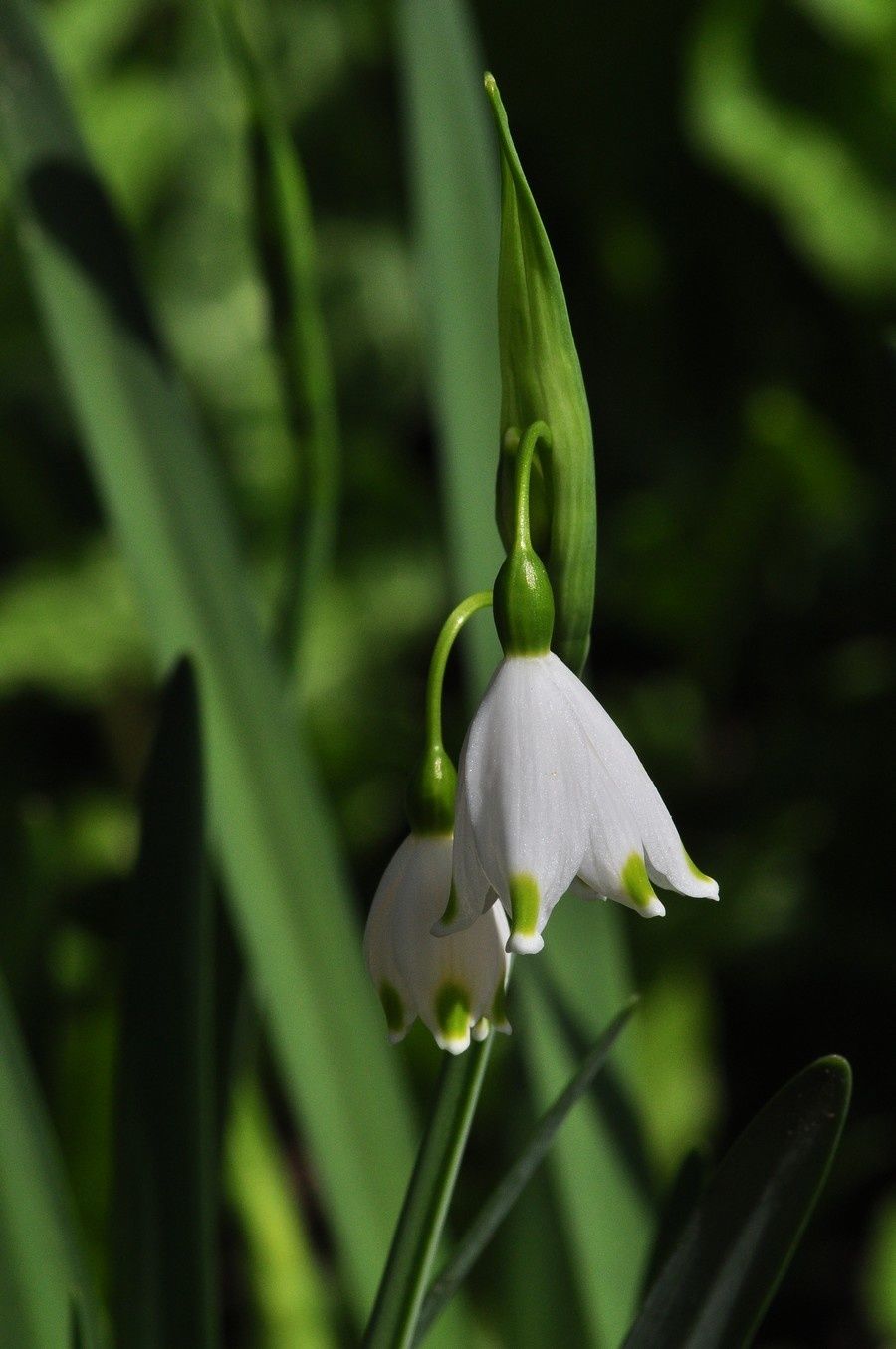 blog-02-2011-3015.JPG