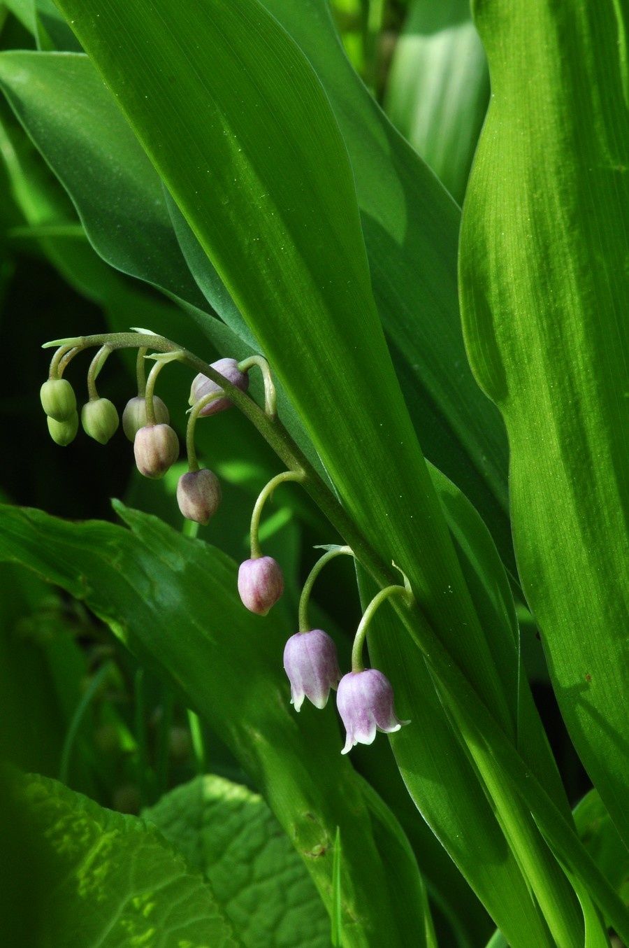 blog-02-2011-3257.JPG