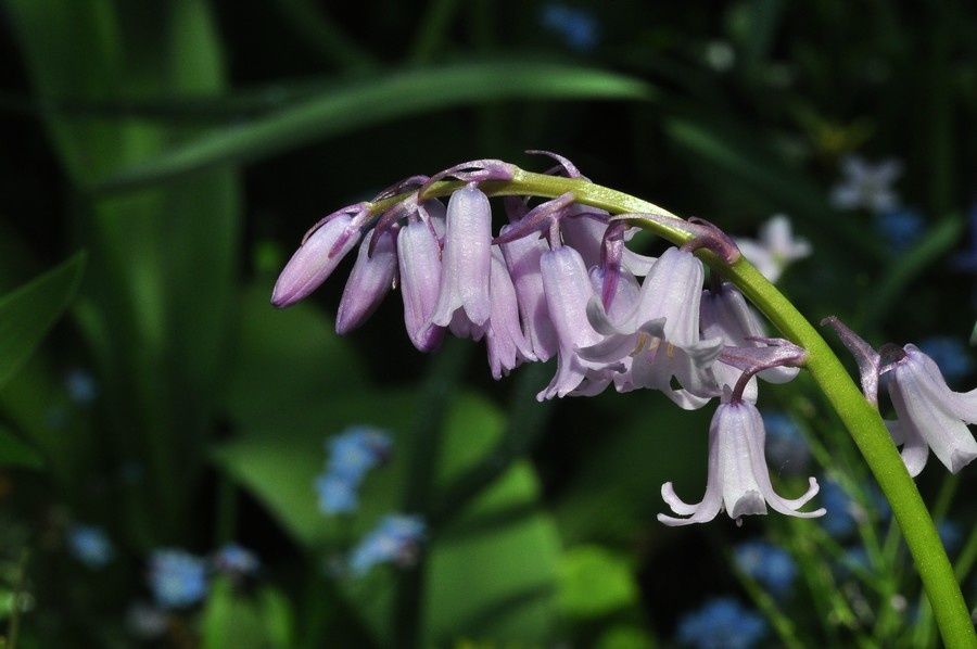 blog-02-2011-3273.JPG