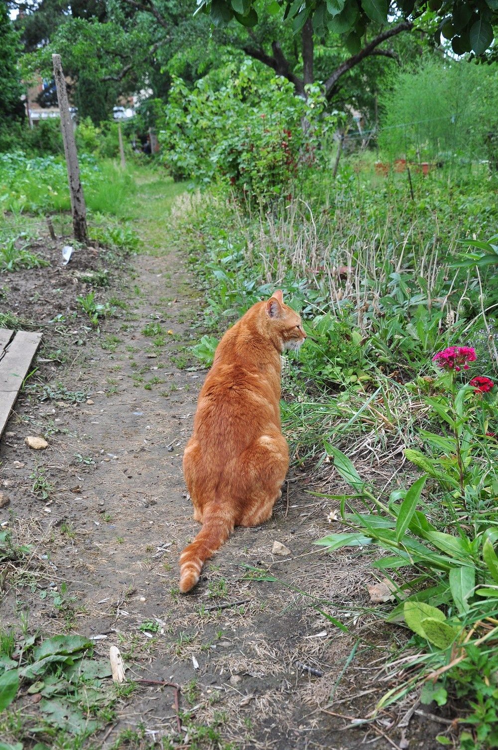 blog3--2011-5035.jpg