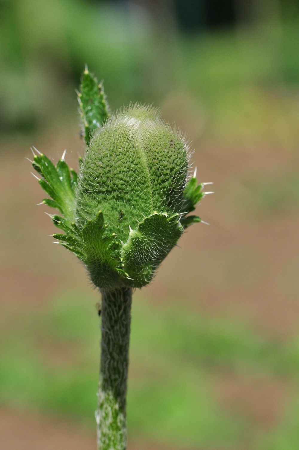 blog3--2011-9274.jpg