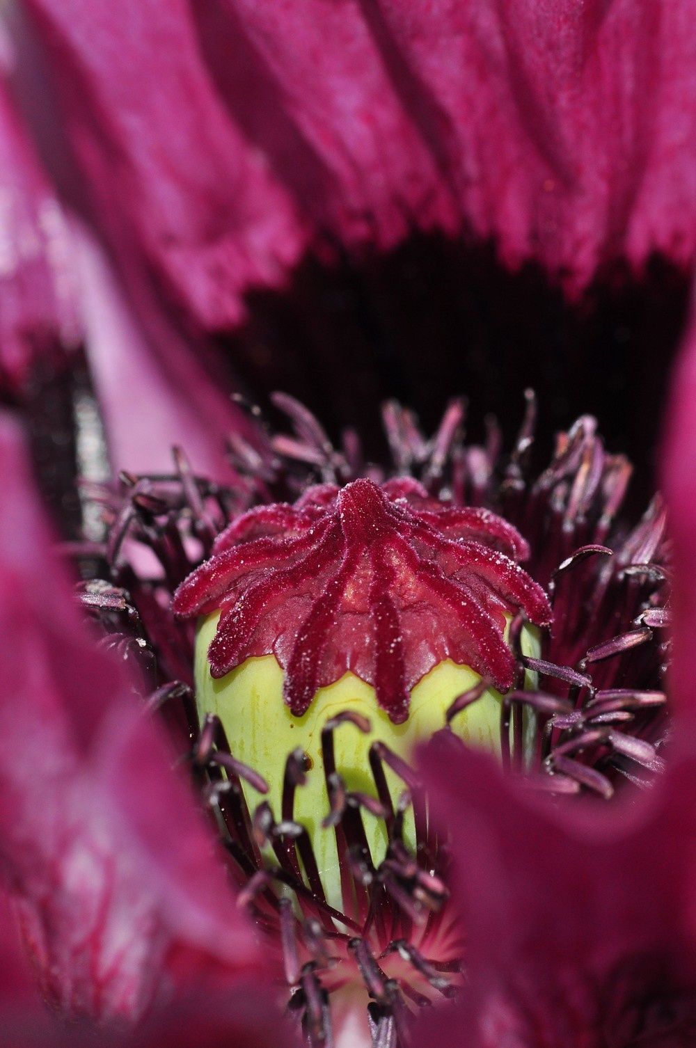 blog3--2011-9277.jpg