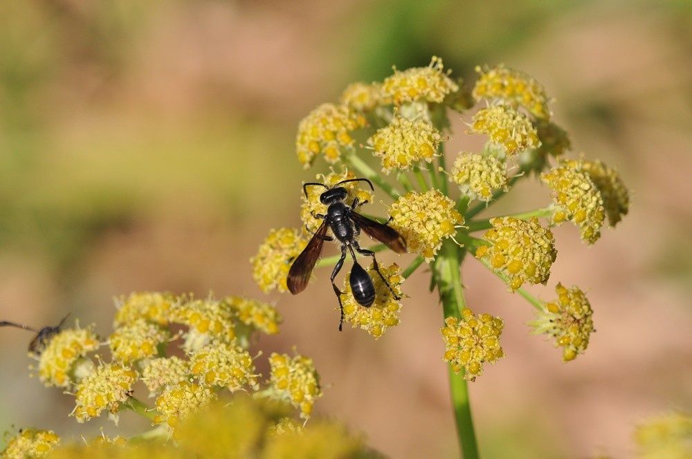 blog4-2011-5072.jpg