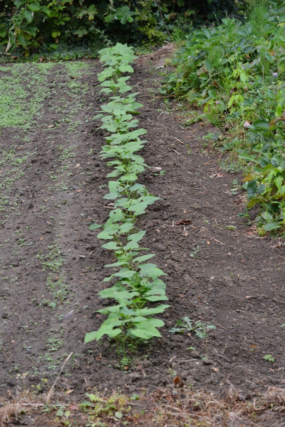 blog3-2012-3028.JPG