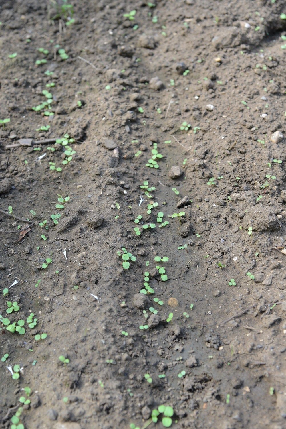 blog4-2012-2856.JPG