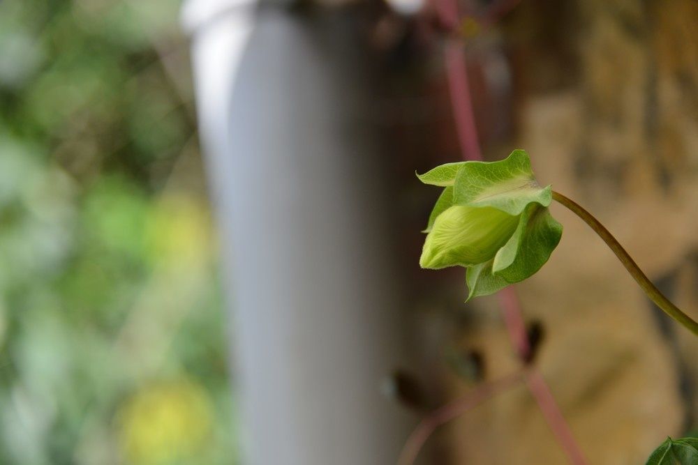 blog4-2012-3069.JPG