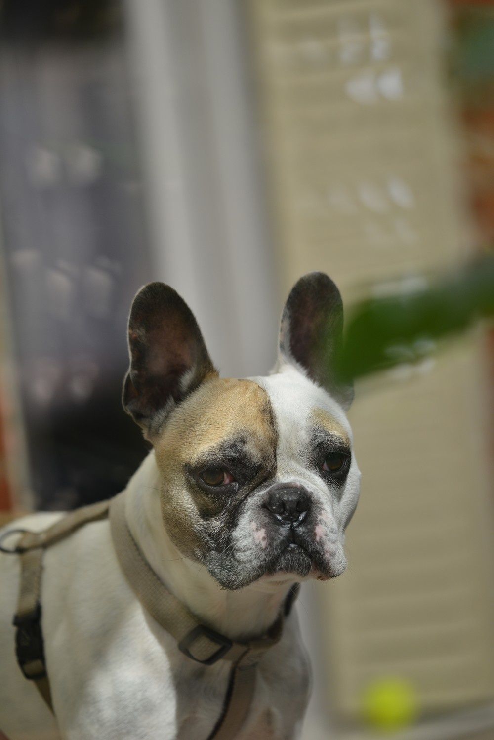 blog4-2012-3327.JPG