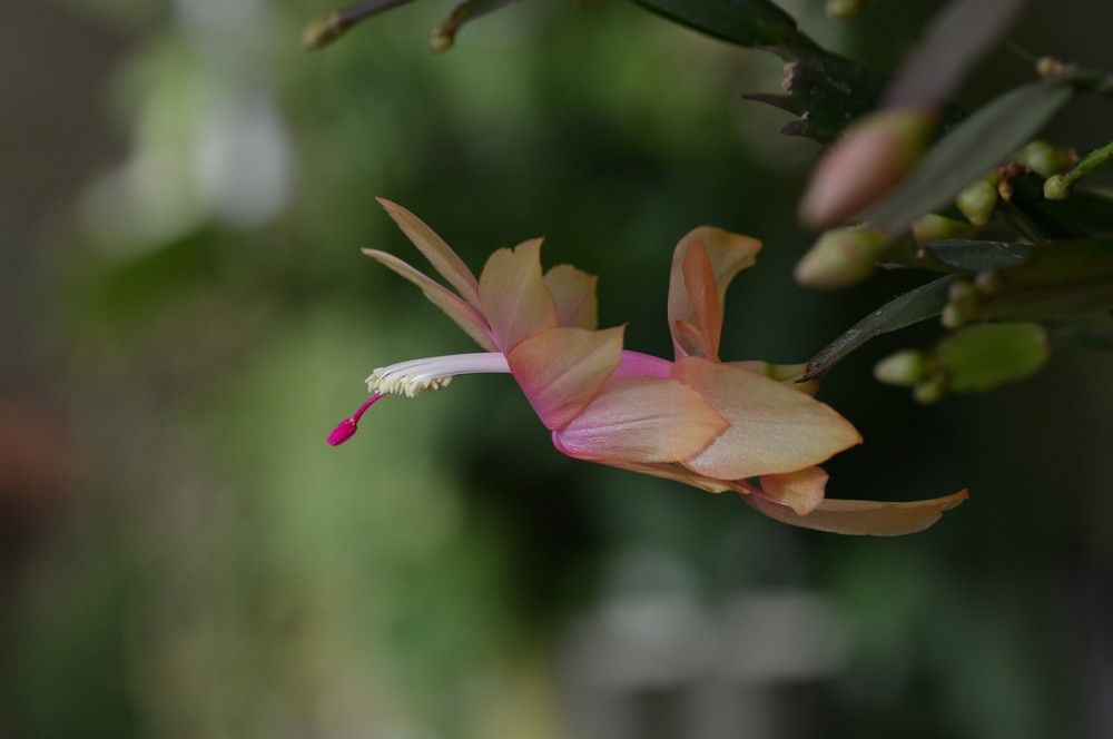 blog4-2012-5042.JPG