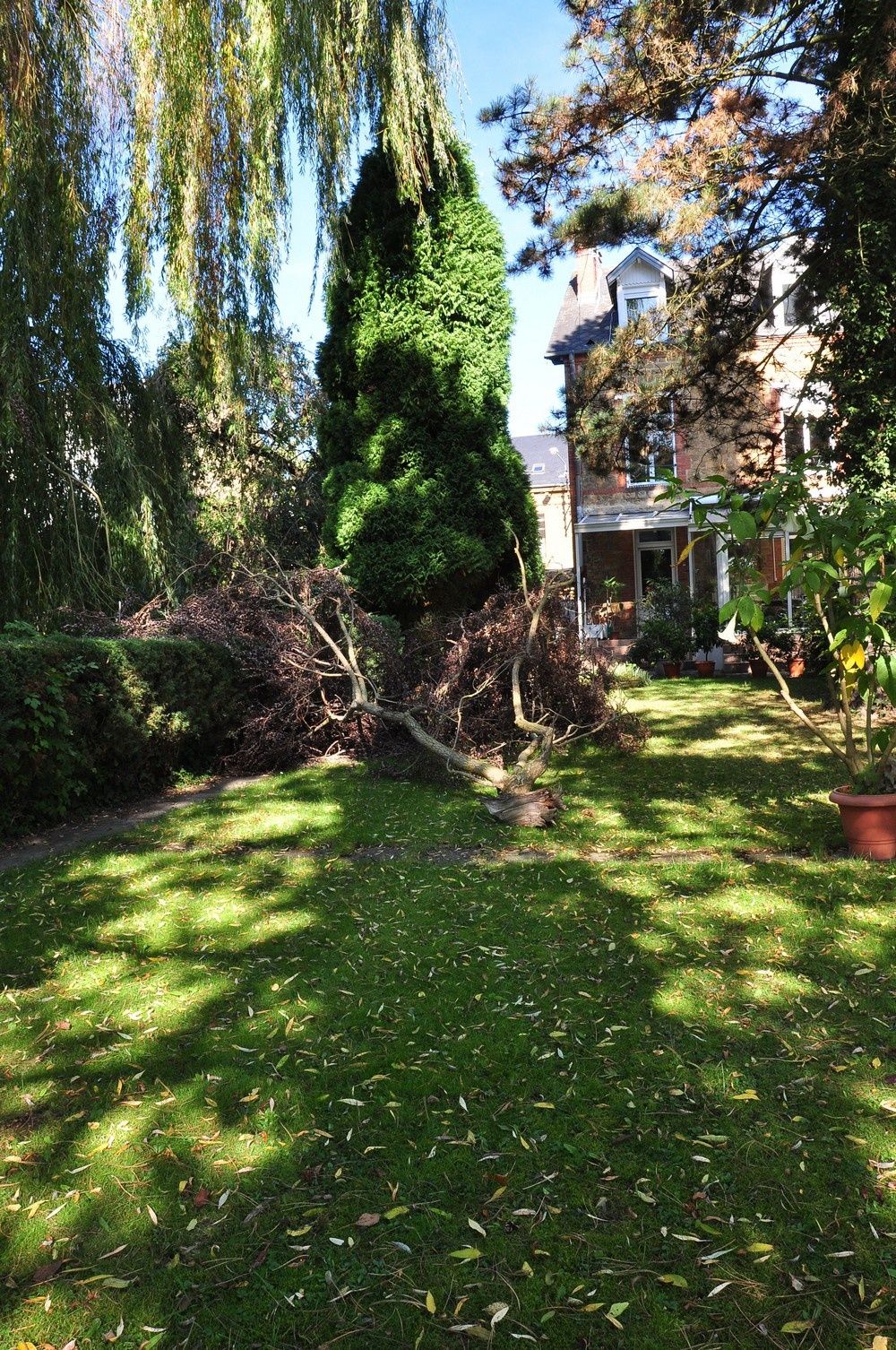 blog4--2011-4025.jpg