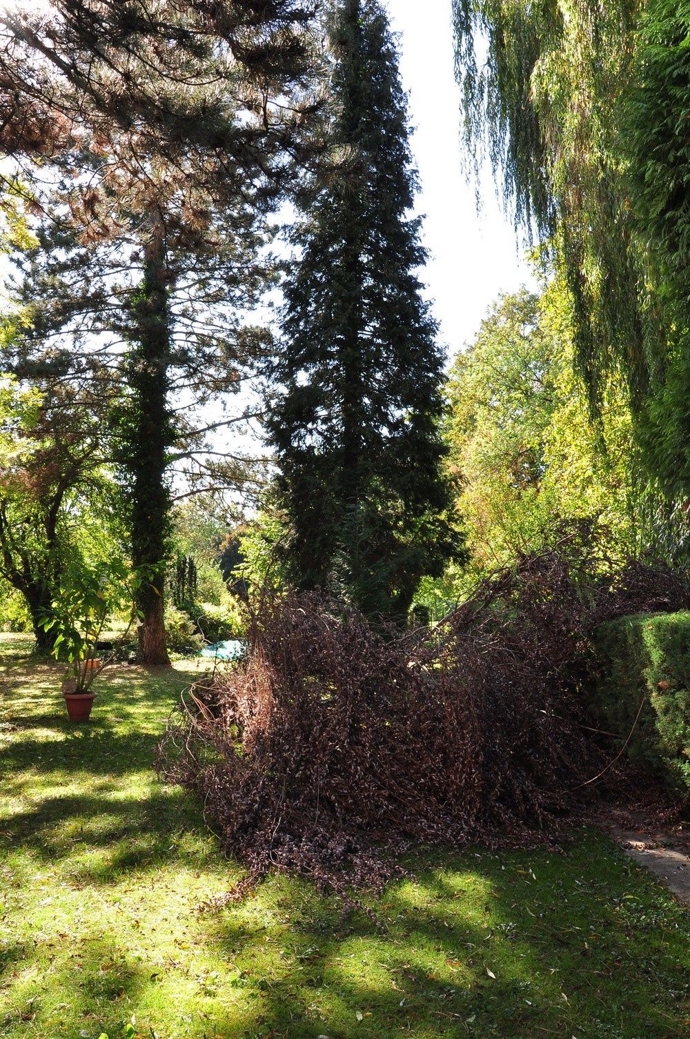 blog4--2011-4029.jpg