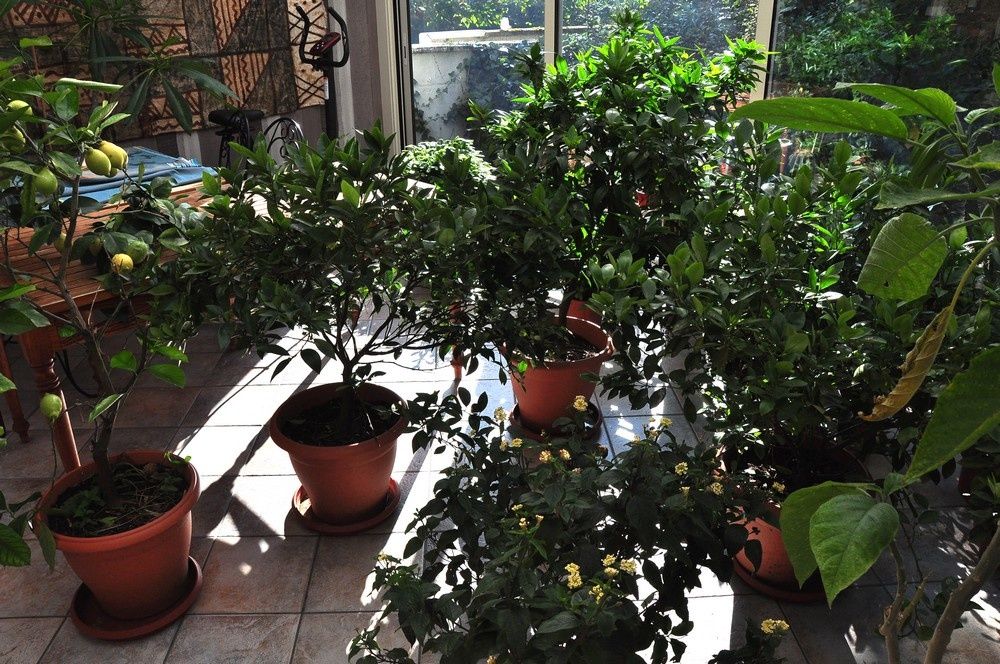 blog4--2011-4629.jpg