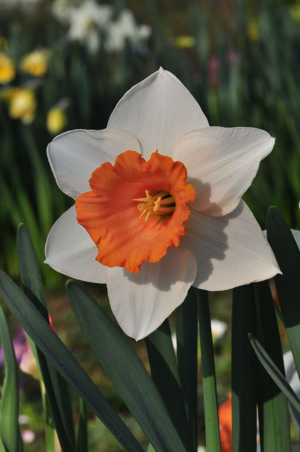 blog4.2-2011-1847.jpg