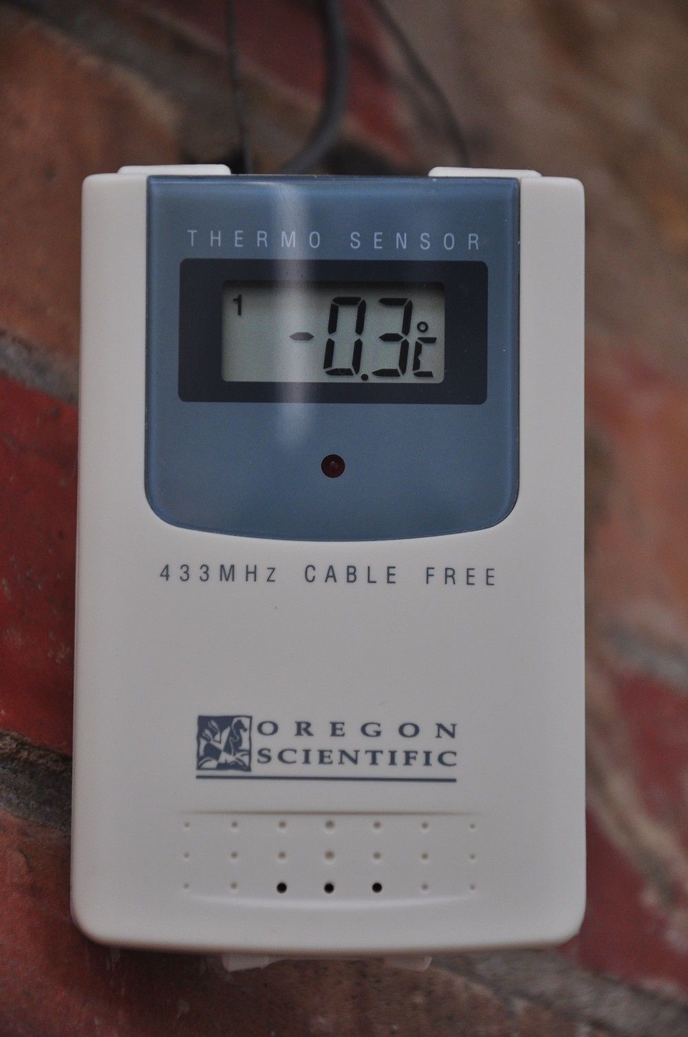 blog4.2-2011-6295.jpg