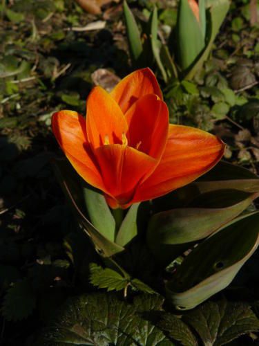 P1020997.JPG