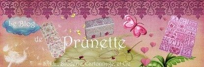 banniere-prunette.jpg