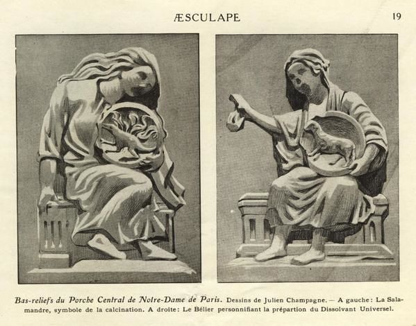 aesculape1927d.champagne.jpg