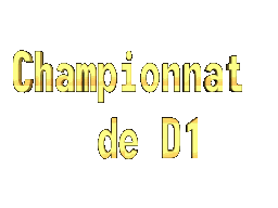 Championnat-de-D1N--2.gif