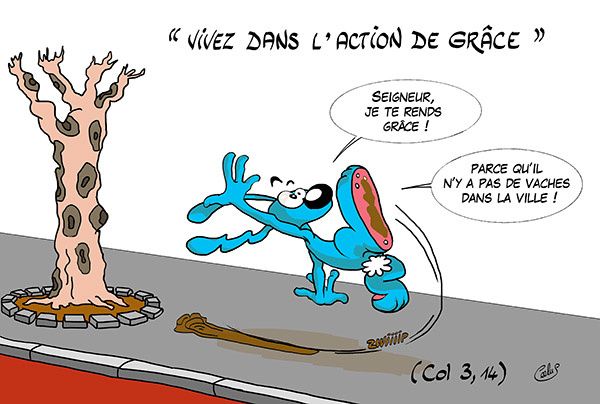 BN1Lapinbleu347C-Col3_14.jpg