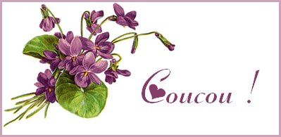 violetcoucou