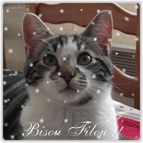 bisou-filou.jpg
